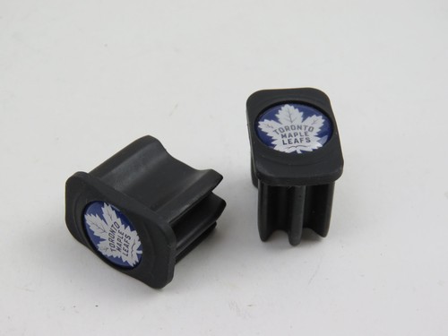 Toronto maple leafs - nhl, team